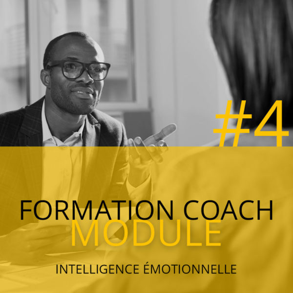Intelligence émotionnelle #4